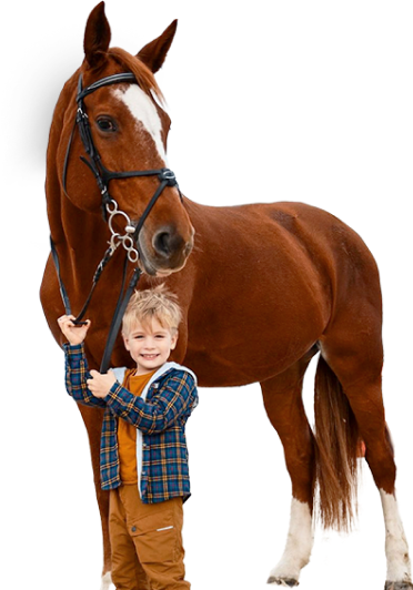 horse