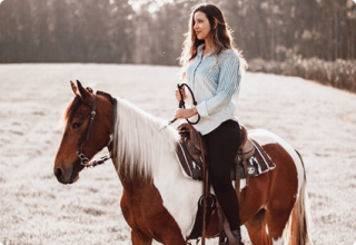 horse