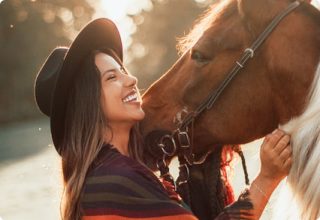 horse