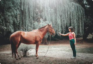 horse