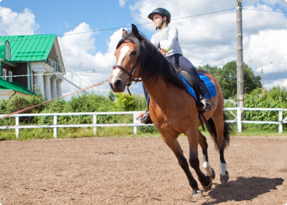 horse-slider