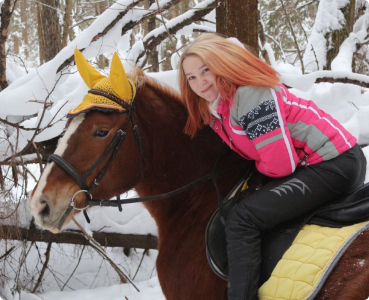 horse-slider