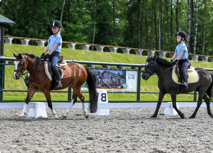 horse-slider