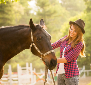 horse-slider
